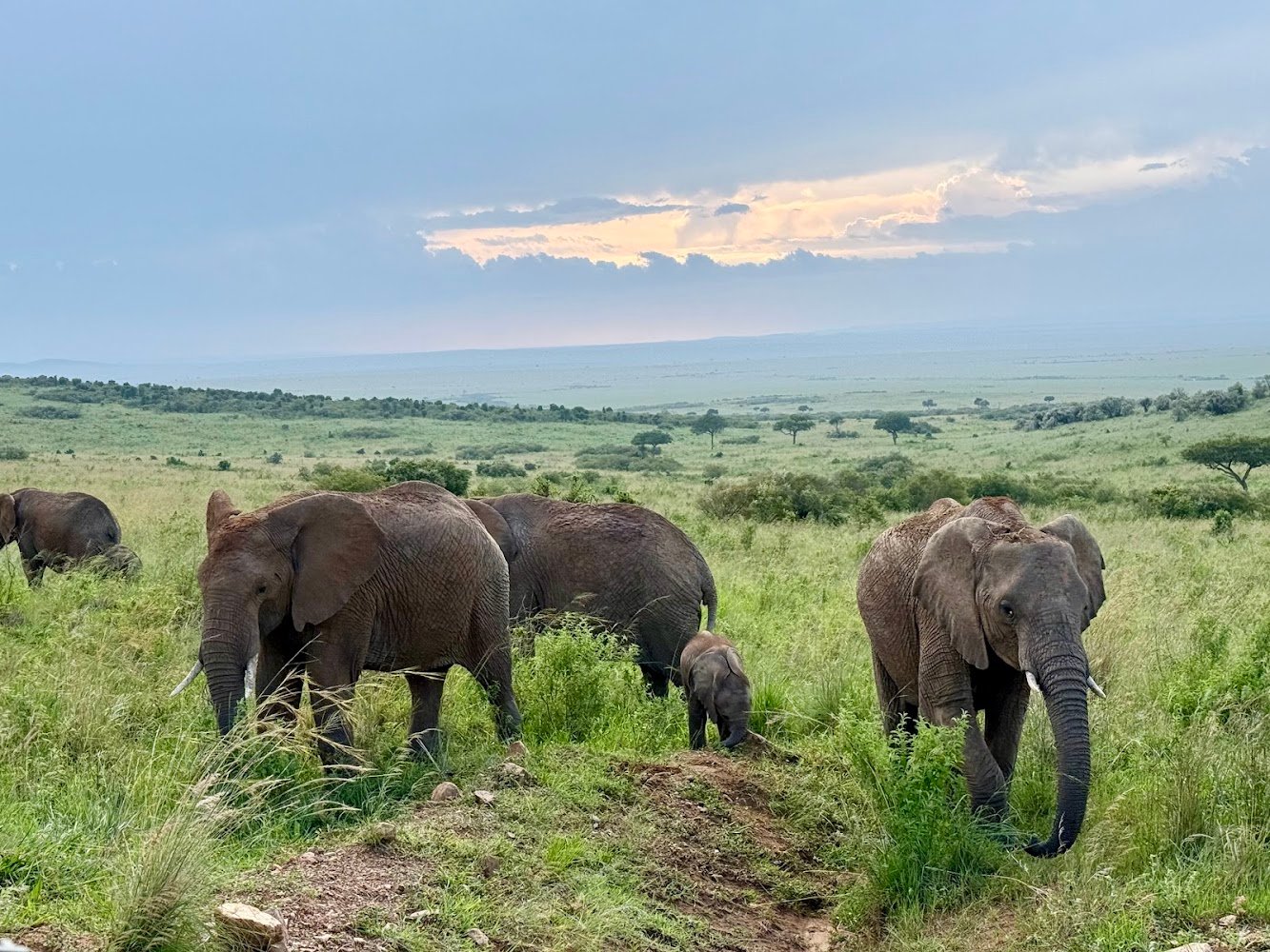 Masai Mara